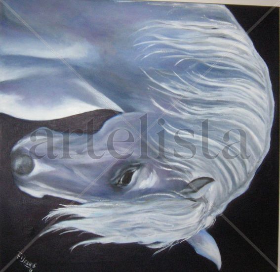 Caballo blanco Oil Canvas Animals