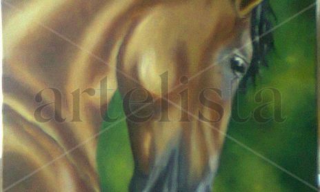 Caballos