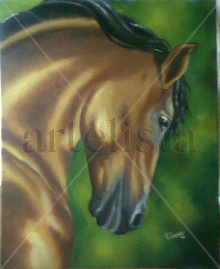 Estudio Oil Canvas Animals