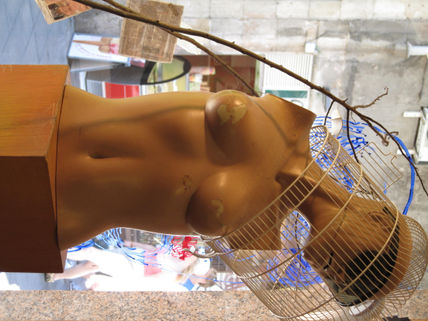 Escaparate.