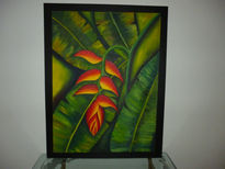 Heliconia