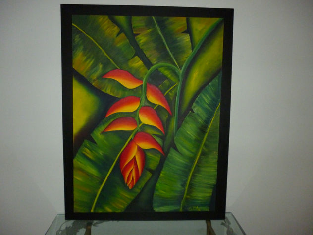 HELICONIA