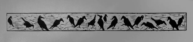 ravens