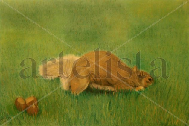 Dirección equivocada
