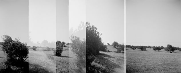 HOLGA TRAVELS - SICILIA Viajes Blanco y Negro (Química)