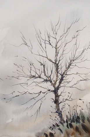 Arbol solitario Watercolour Paper Landscaping