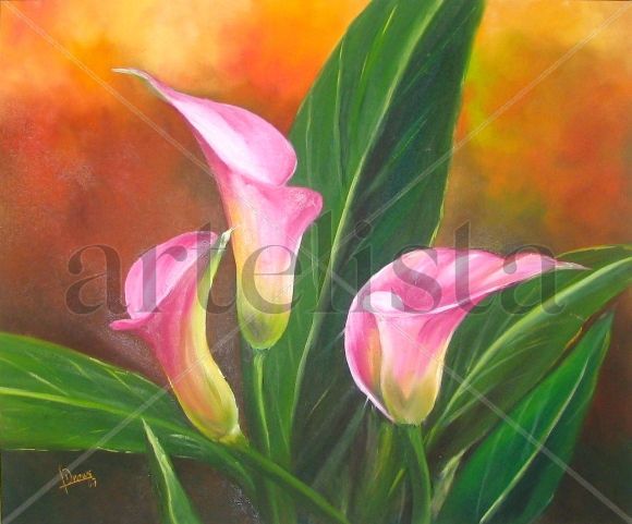 Trío de calas rosas Oil Canvas Floral Painting