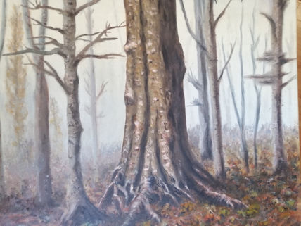 Niebla