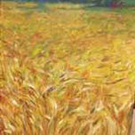 paisajes thumbnail 1