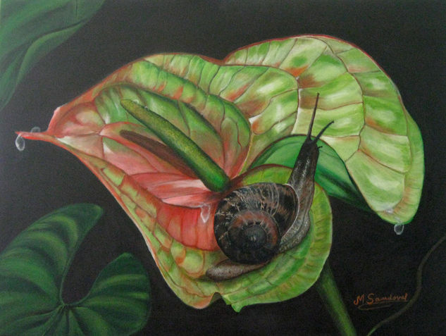 Caracol en Cala Verde Oil Canvas Animals