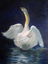 Cisne