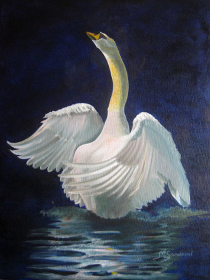 Cisne Óleo Lienzo Animales