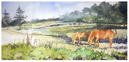 Horses