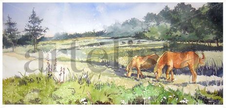 Horses