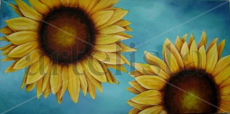 Girasoles