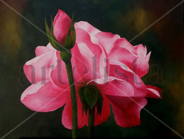 rosa y pimpollo Oil Canvas Floral Painting