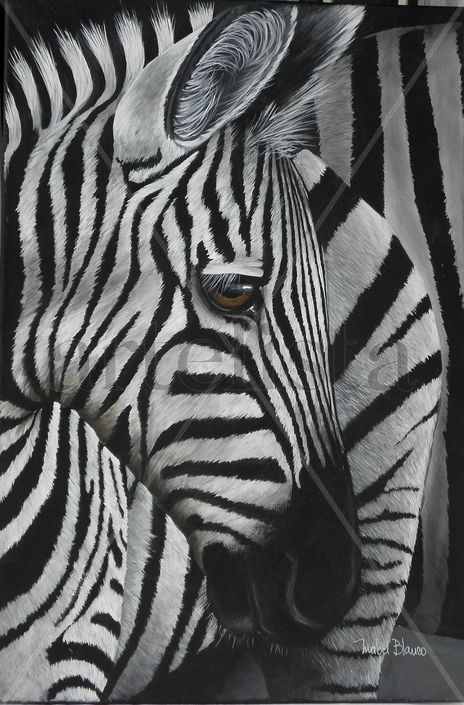 Blanco y negro