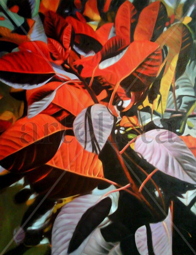 JARDÍN