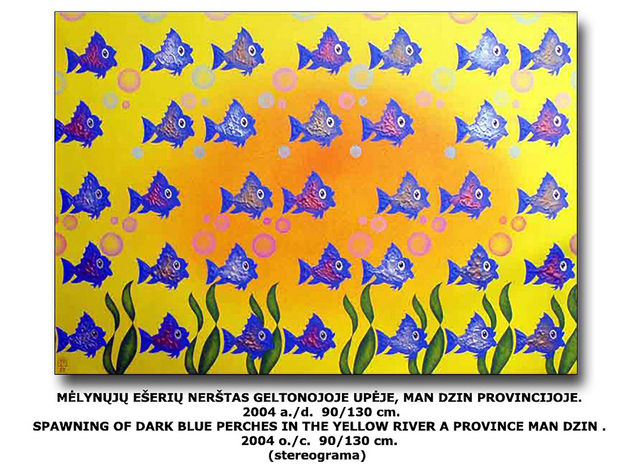 Spawning of dark blue perches in the yellow river a province Man Dzin. 