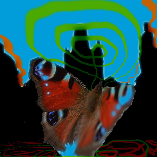 vuelo