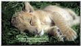 SE DESCANSA !