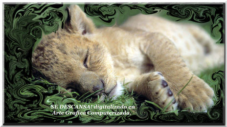 Se descansa !