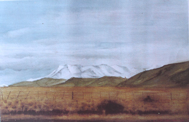 PAISAJE PATAGONICO 0111