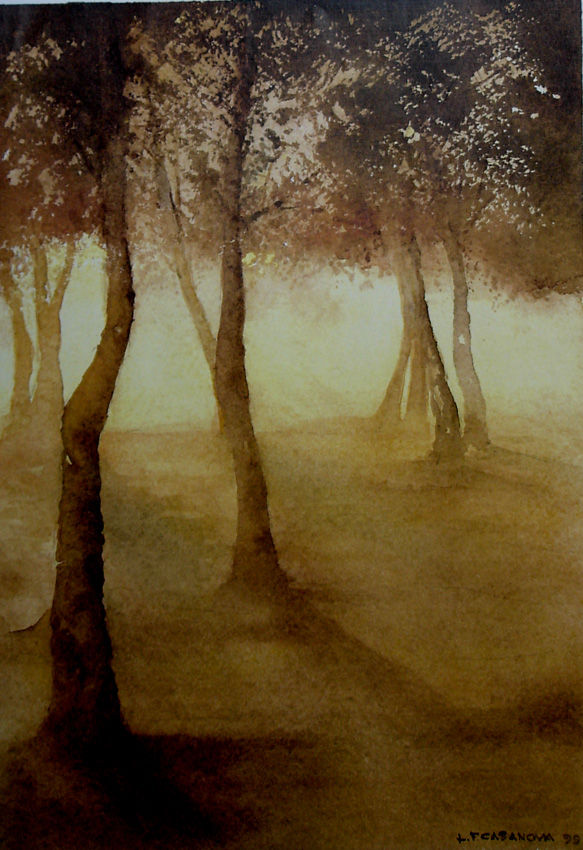 BOSQUE 0114