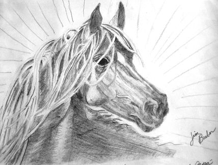 Black Stallion