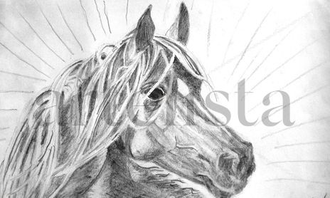 cuadros animales