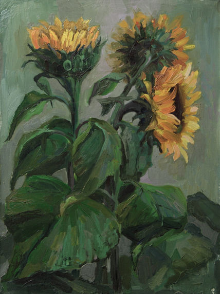 Girasoles