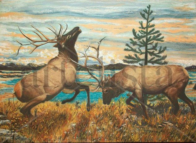 Alces al Amanecer