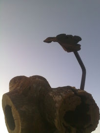 Coto de caza al...