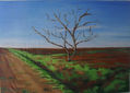 Arbol sin hojas