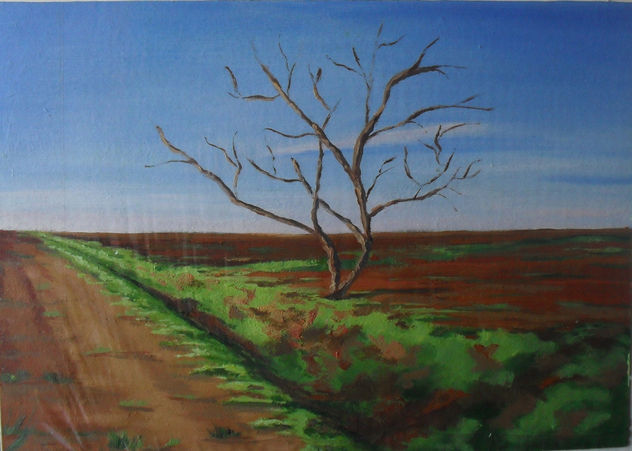 Arbol sin hojas