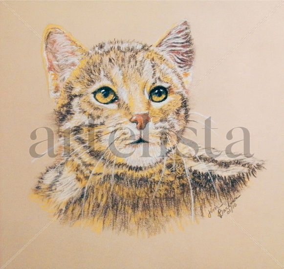 calico kitten Pastel Papel Animales