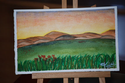 Campo 1
