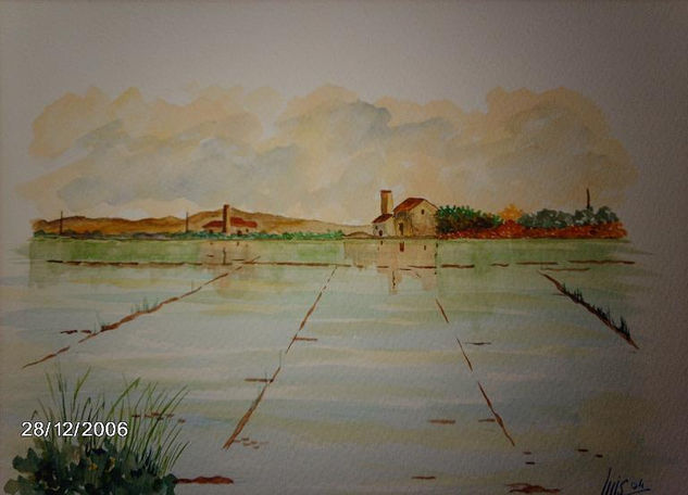 AERROZALES DE LA ALBUFERA Oil Canvas Landscaping