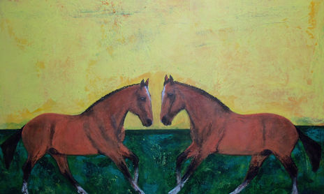 s. caballos.0012