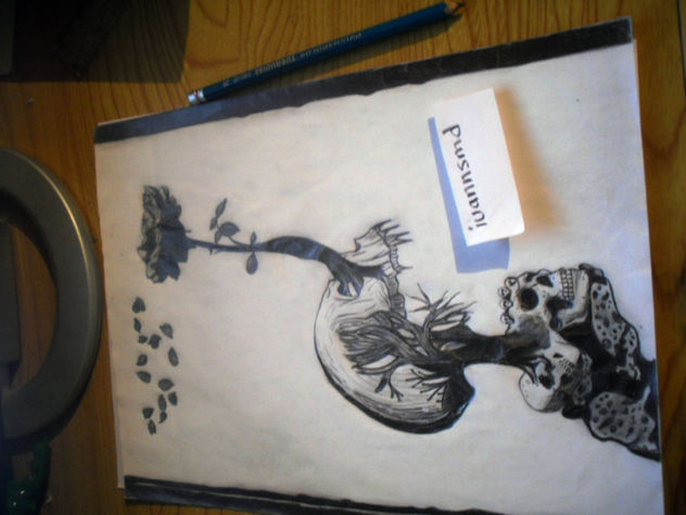 craneo