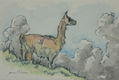 Guanaco.