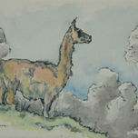 Animales de la Patagonia thumbnail 1