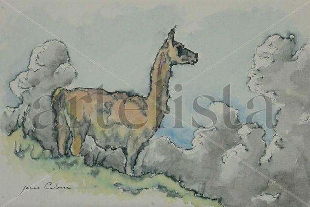 Guanaco.