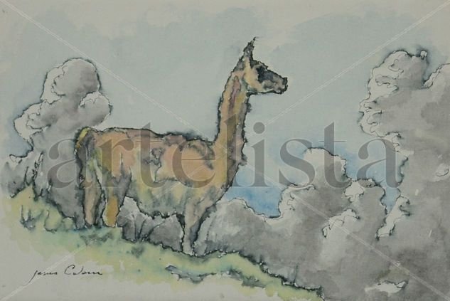 Guanaco. Acrílico Lienzo Animales