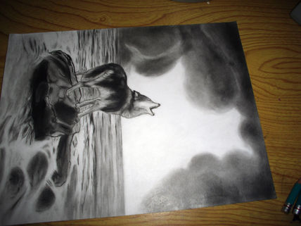 Lobo4