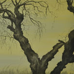 Paisajes de la Patagonia thumbnail 1