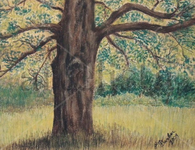 Old Tree Pastel Paper Landscaping