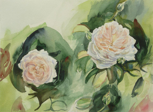 Rosas blancas 2 Acuarela Papel Floral