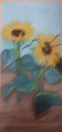 Girasoles