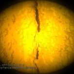 DIGITAL ART/ ALEXIA 2011 thumbnail 2